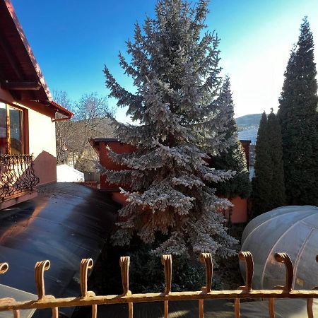 Anadi Hotel Boutique Only Adult Brašov Exteriér fotografie